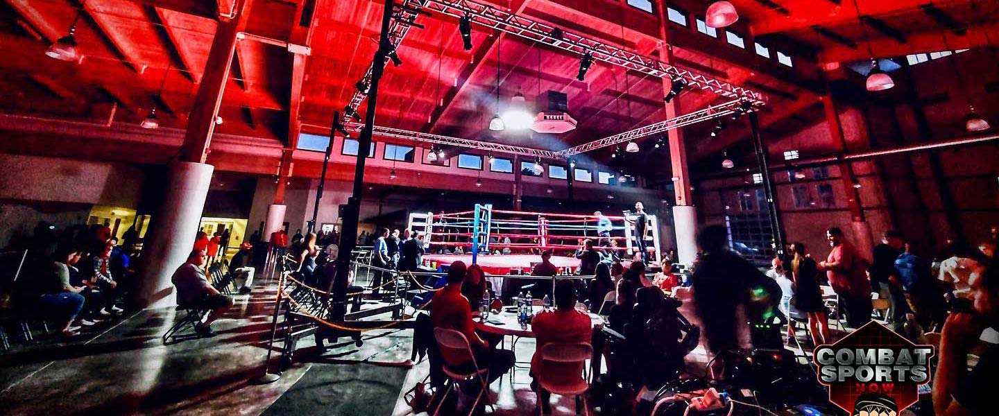 People working on laptops